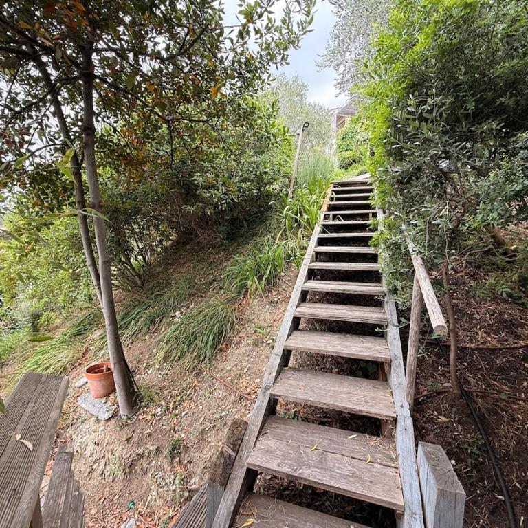 Treehouse in Les Oliviers, Sea View, Air Conditioning, Parking - Monolocale con Terrazza - 14
