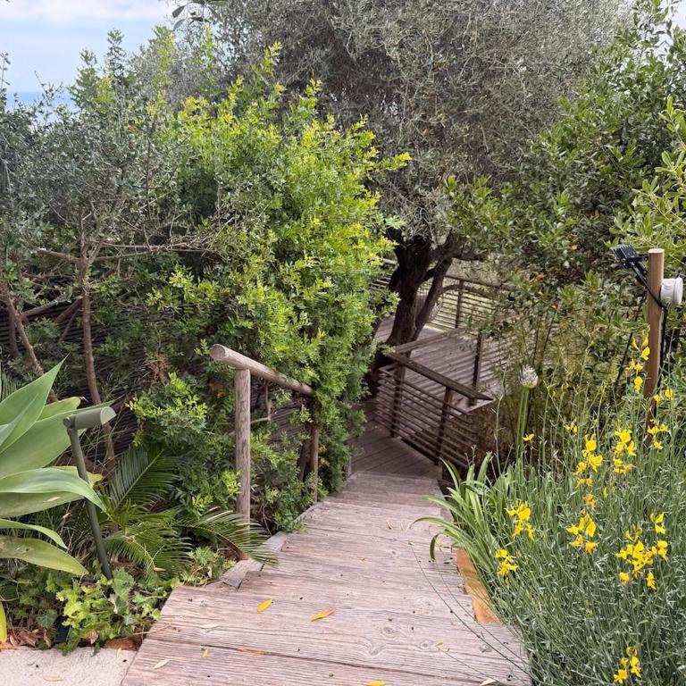 Treehouse in Les Oliviers, Sea View, Air Conditioning, Parking - Monolocale con Terrazza - 20