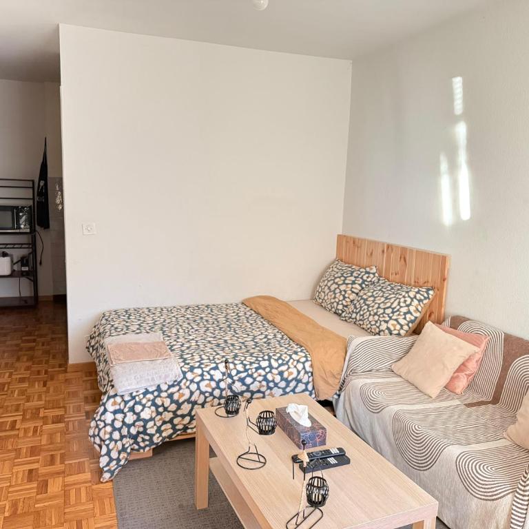 Studio charmant centré à Lausanne - Apartment mit 1 Schlafzimmer - 1