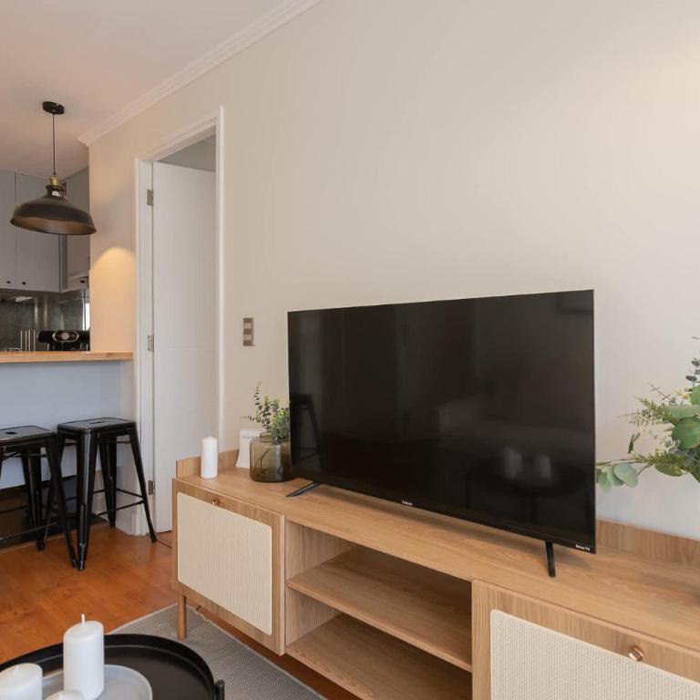Live Providencia from your cozy home - Apartment - 5
