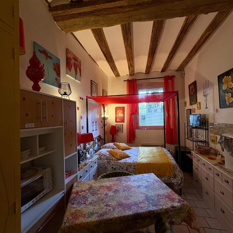 Studio coquet amboise - Studio avec Terrasse - 27