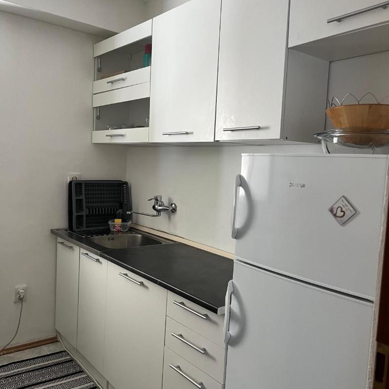 Sarajevo Luxury Villa - Vila sa 3 Spavaće Sobe - 11