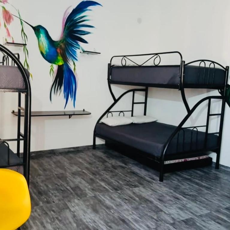 Piccolo Bed & Breakfast - Family Room - 4