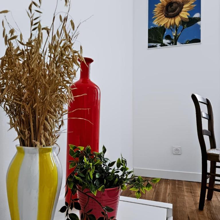 Le Citadin - Centre - Wifi - Balcon - Appartement 1 Chambre - 34