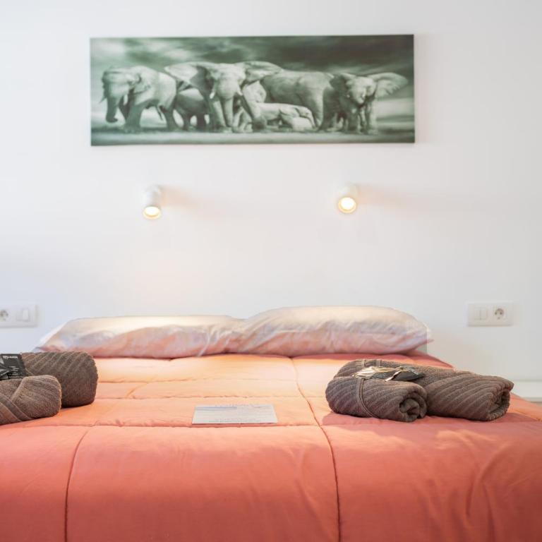 Calma Mar - Apartamento de 1 dormitorio con vistas al jardín - 12