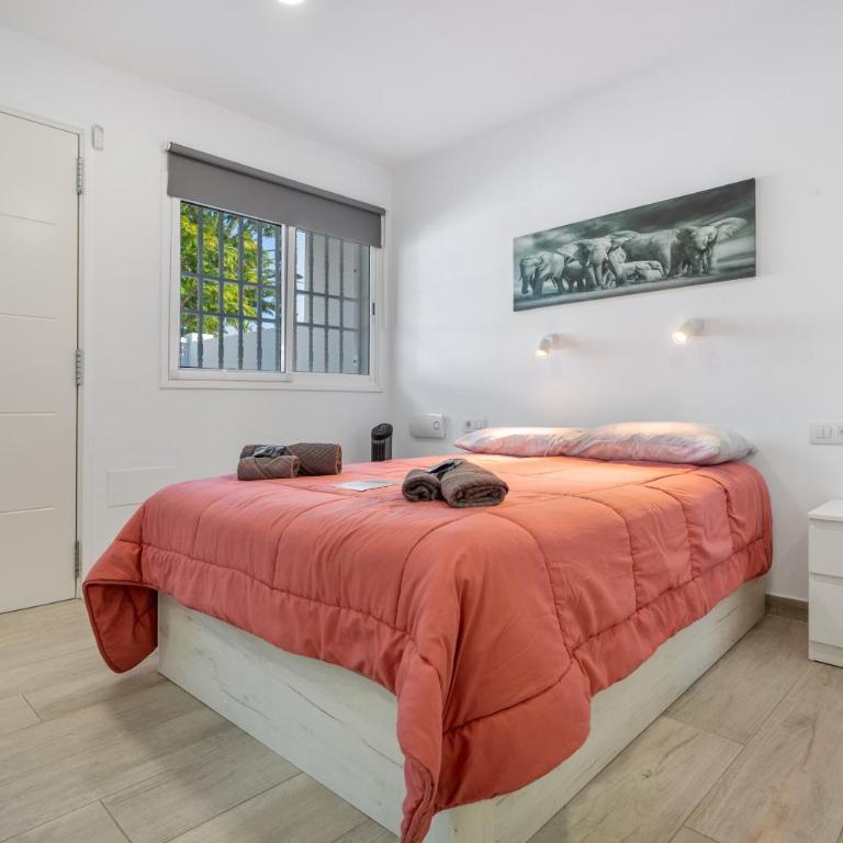 Calma Mar - Apartamento de 1 dormitorio con vistas al jardín - 14