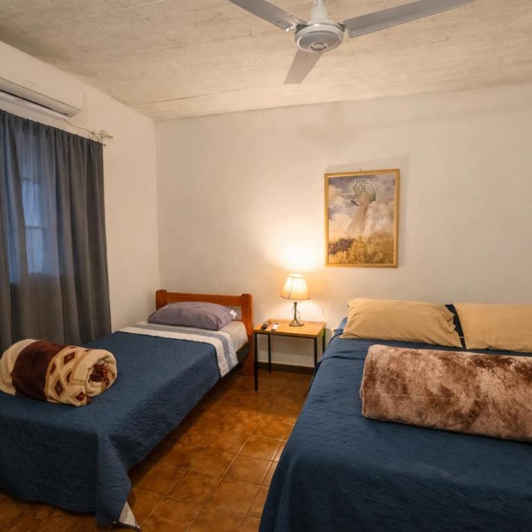 Departamentos Céntricos con Estacionamiento - Apartamento - Planta baja - 2