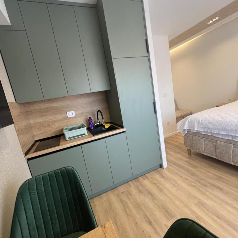 Apartmani Ema - Apartman sa 1 Spavaćom Sobom - 3