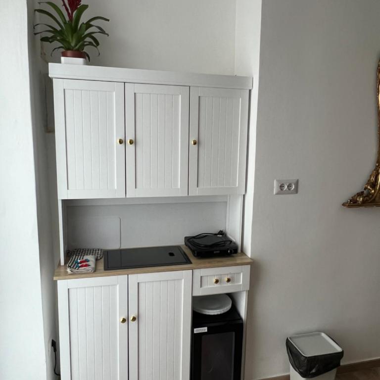 Fior di Loto Suite - Lungo Po - Appartamento con 2 Camere da Letto - 21