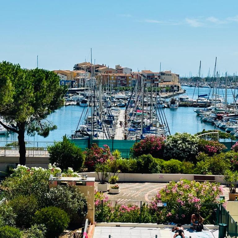 Esprit vacances,Piscine,Vue sur le Port,Parking privé,Commerces et restaurants - Appartement 1 Chambre - 2
