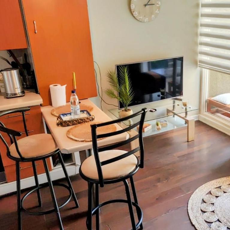 A pasos de Metro Toesca y Movistar Arena - Apartamento de 1 dormitorio - 4