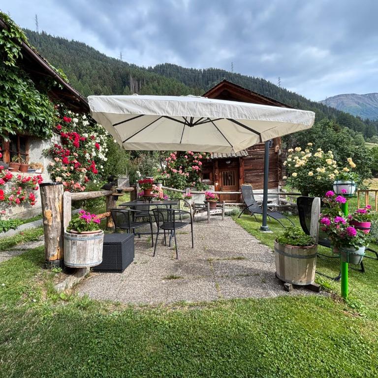 Wohnung mit schöner Sicht auf Bergpanorama und übers Tal - Apartment mit 1 Schlafzimmer - 24