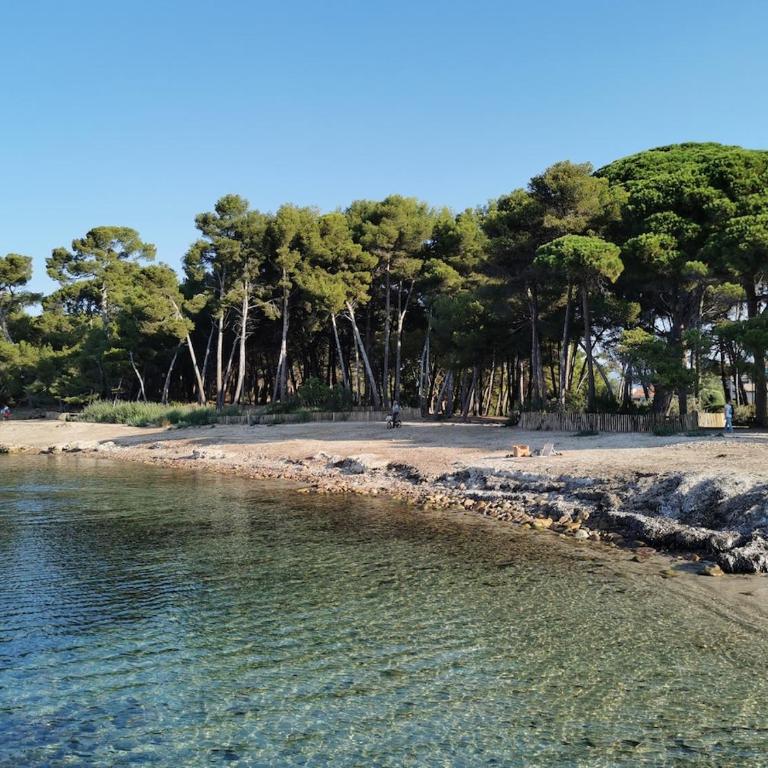 Escapade bord de mer Saint Mandrier sur mer - Appartement 1 Chambre - 6