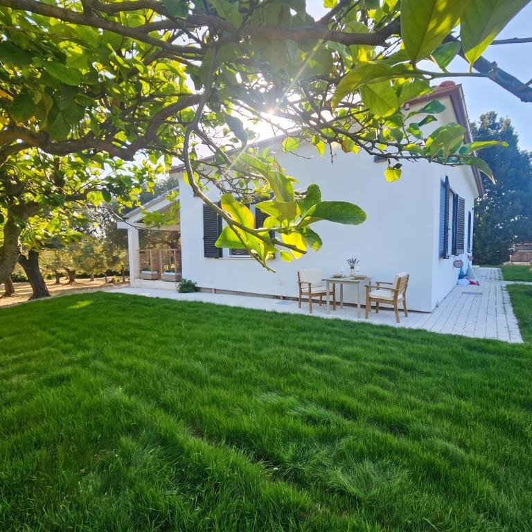 Villa Miramare Peaceful Oasis with Garden, Pool and Sea View in Alghero - Villa con Piscina Privata - 47