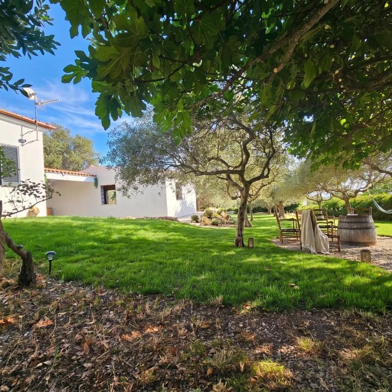 Villa Miramare Peaceful Oasis with Garden, Pool and Sea View in Alghero - Villa con Piscina Privata - 51