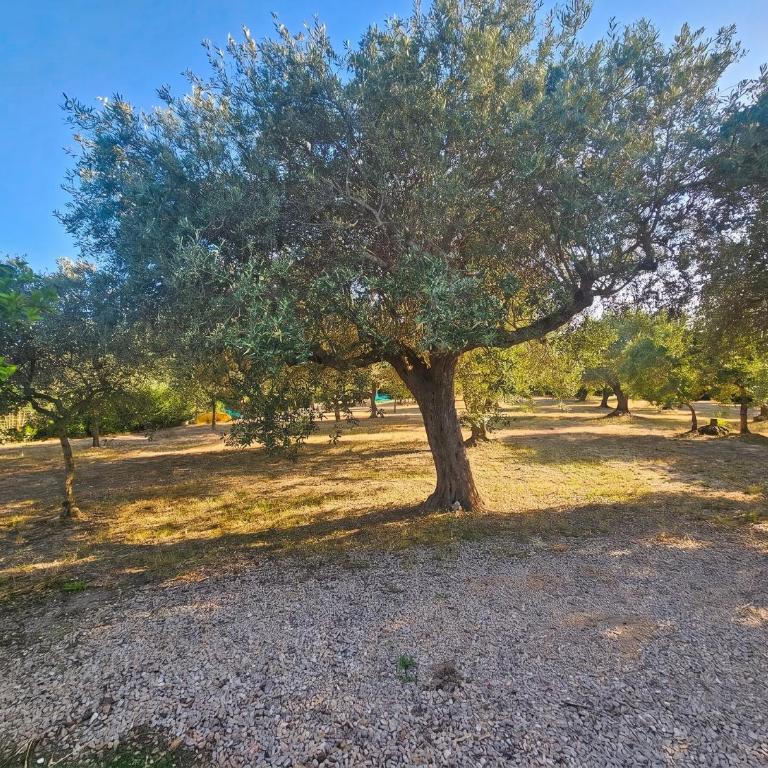 Villa Miramare Peaceful Oasis with Garden, Pool and Sea View in Alghero - Villa con Piscina Privata - 54