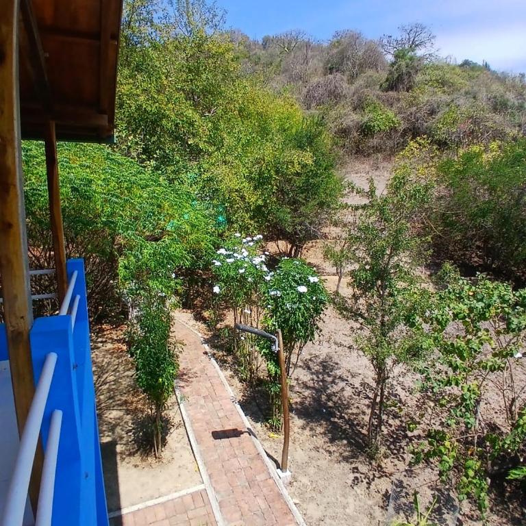 Finca Paraiso retiros holisticos - Habitación Familiar - 5