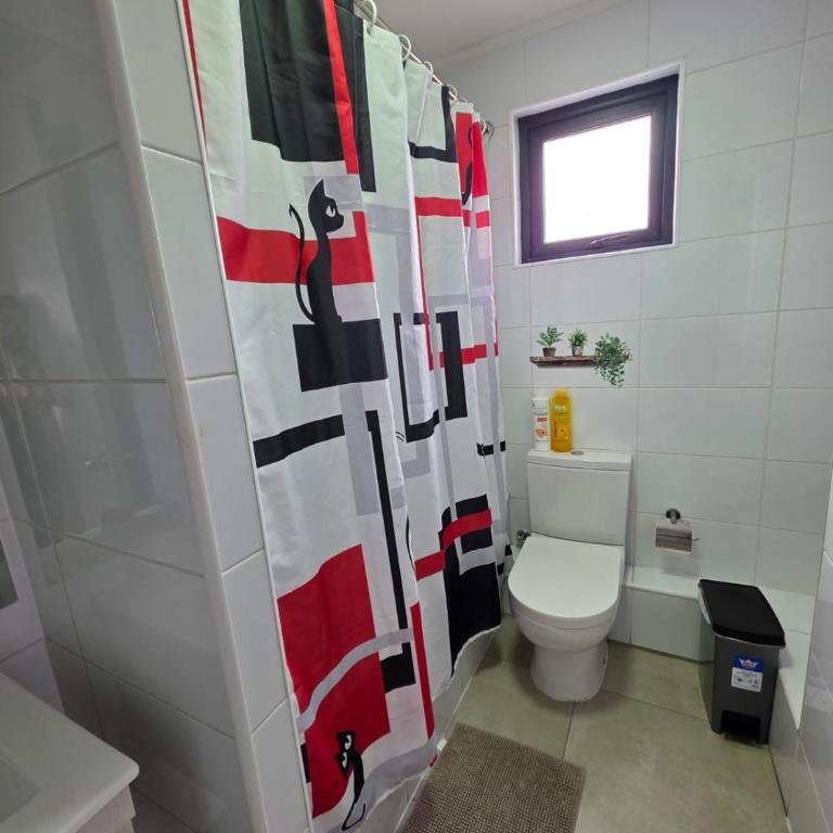 Departamento Centro 1D 1B living y balcón - One-Bedroom Apartment - 5