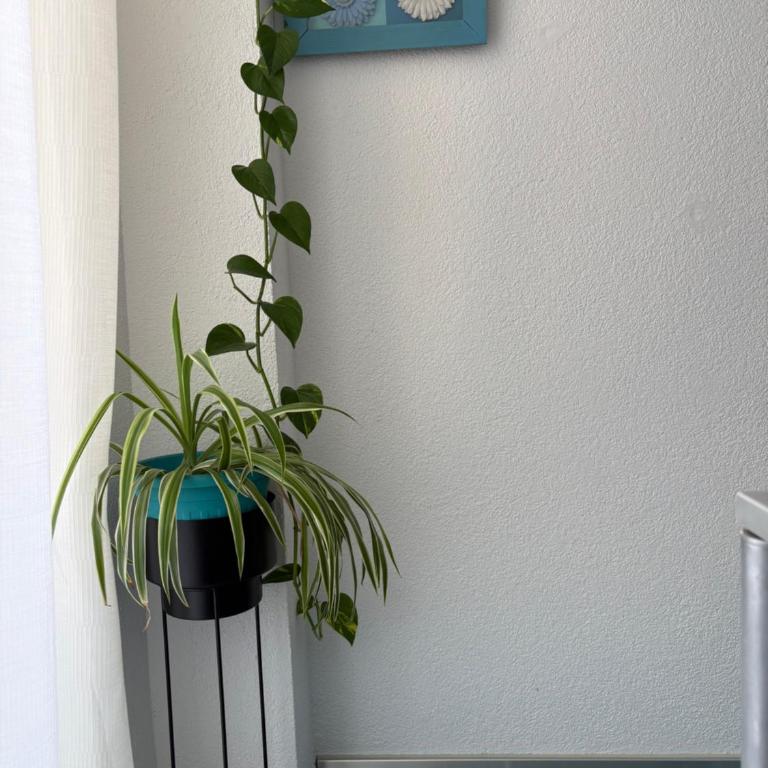 Urban Stay Grbavica - Apartman sa 1 Spavaćom Sobom - 14