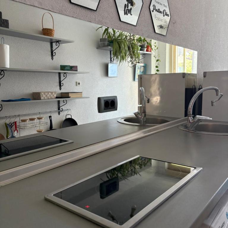 Urban Stay Grbavica - Apartman sa 1 Spavaćom Sobom - 19