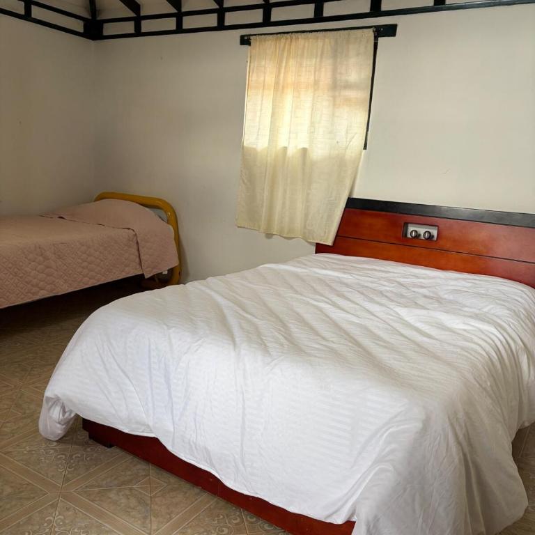 Casa Anthurium - Apartamento - 12