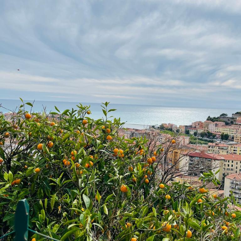 Casa Vittoria - Panoramic Sea View - Vista Mare - Appartamento con 1 Camera da Letto - 12