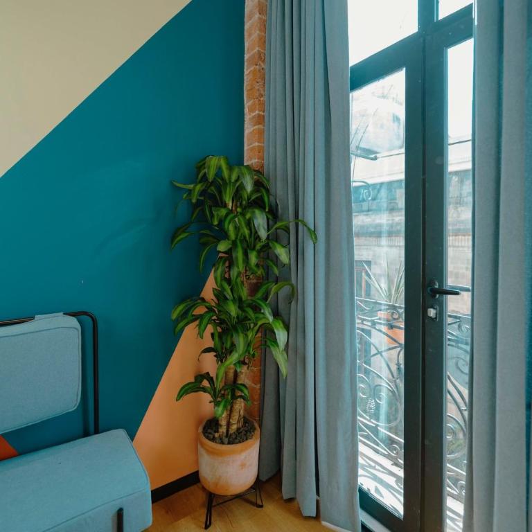 Hotel Terracota mx - King Room with Balcony - 6
