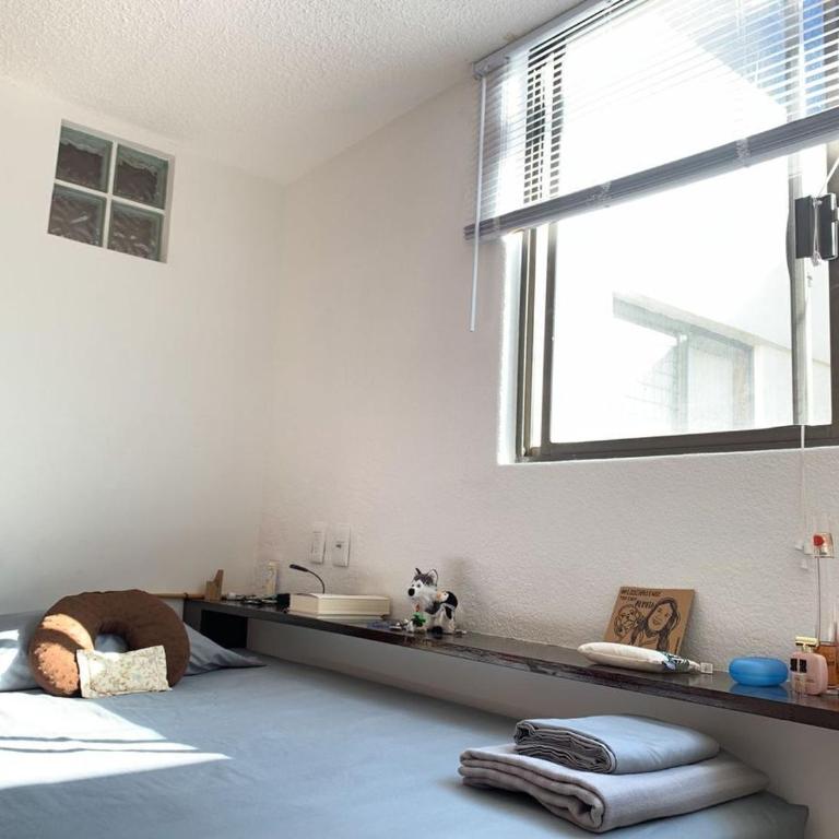 Loft in Nápoles, hotel area 1 block from the World Trade Center - Appartement 1 Chambre - 12