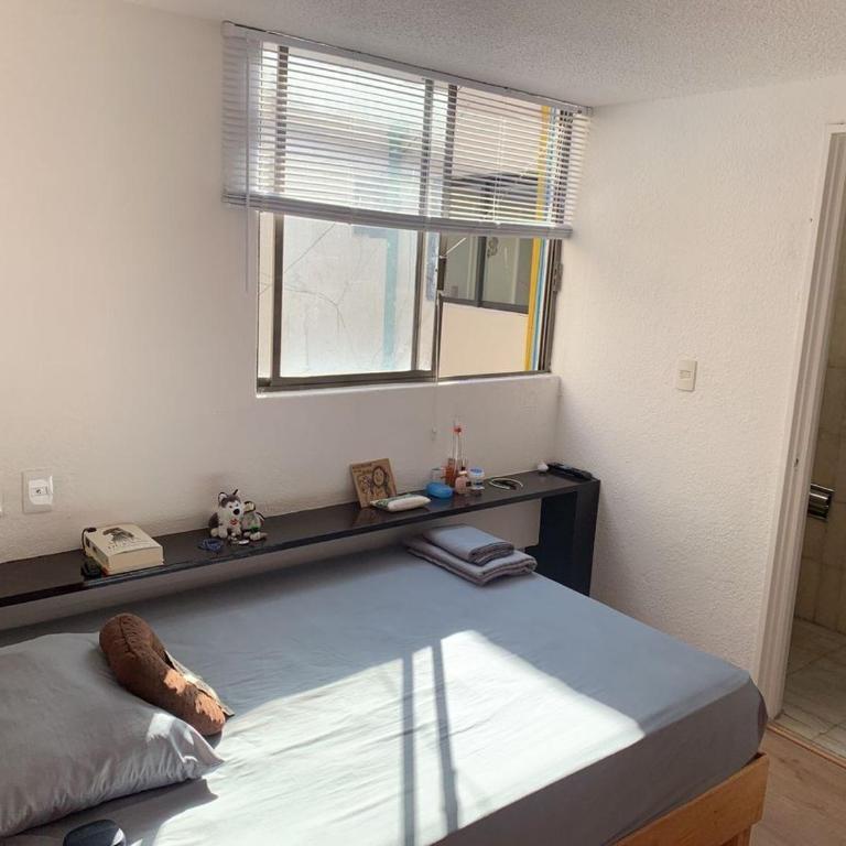 Loft in Nápoles, hotel area 1 block from the World Trade Center - Appartement 1 Chambre - 22