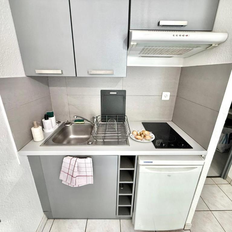 T1 charmant - Parking - Proche hypocentre - Apartment mit 1 Schlafzimmer - 5