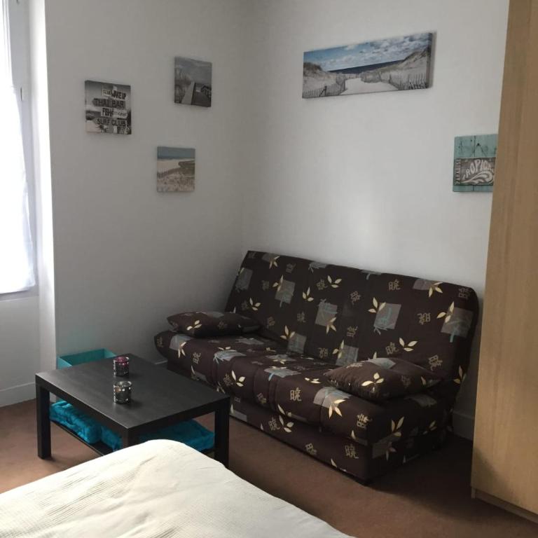 Large studio in the heart of Nantes - Studio - 5