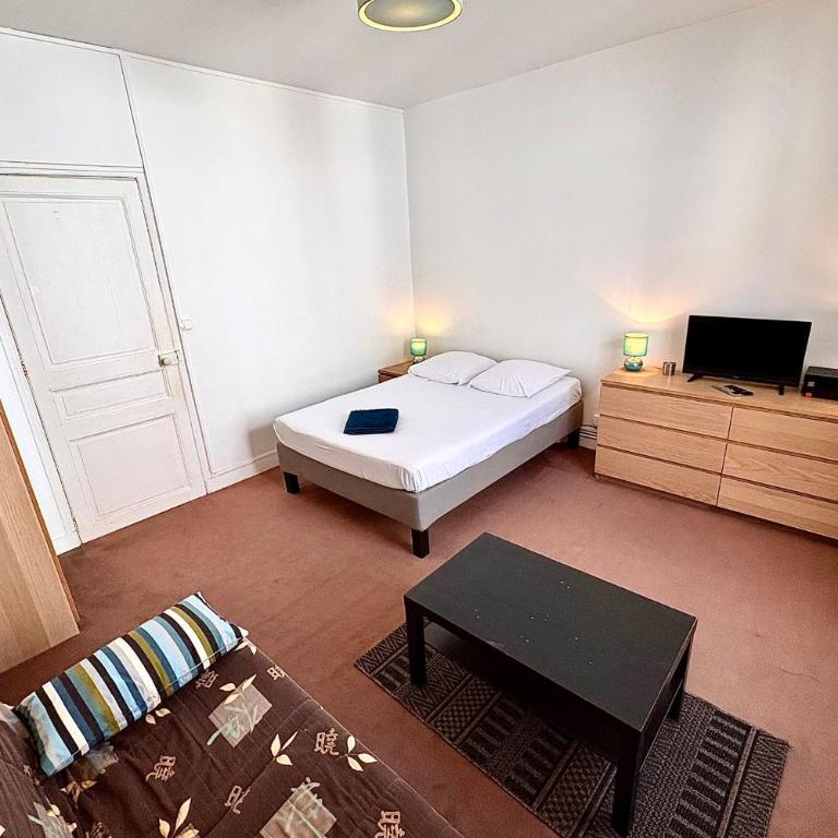 Large studio in the heart of Nantes - Studio - 19