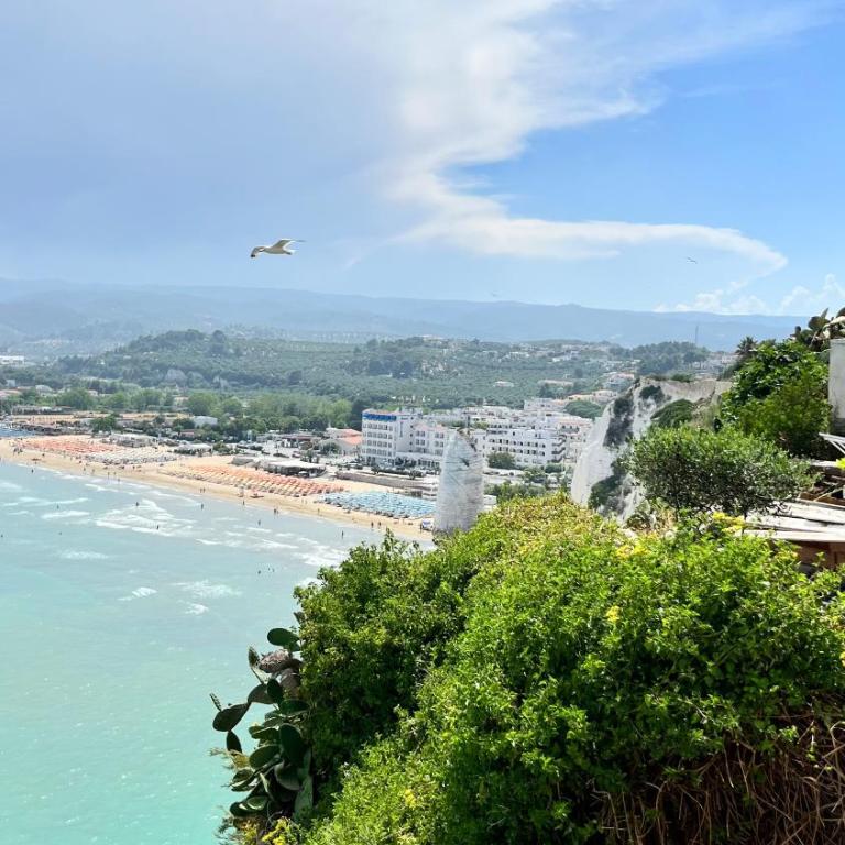 Pizzomunno View by Vieste Rooftop - Free Private Parking - Casa Vacanze - 28