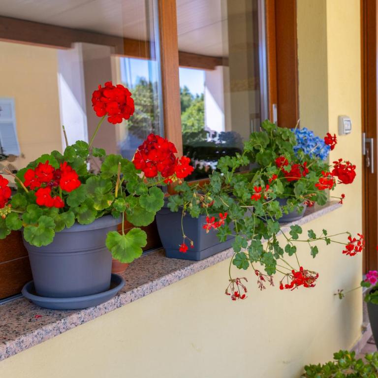 Annalisa Holiday Home Alghero - Casa con 1 Camera da Letto - 7