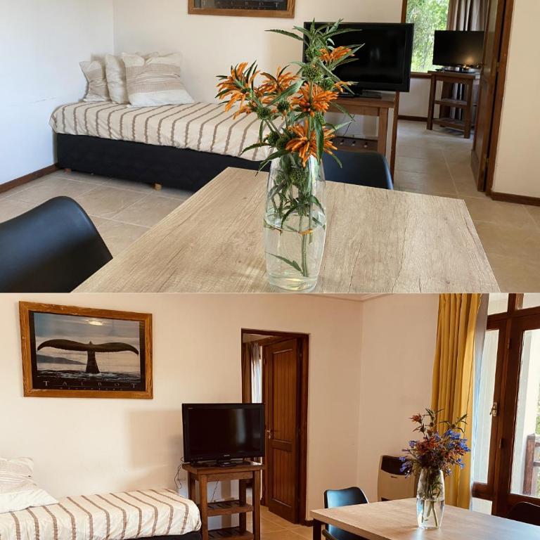 serena - One-Bedroom Apartment - 3