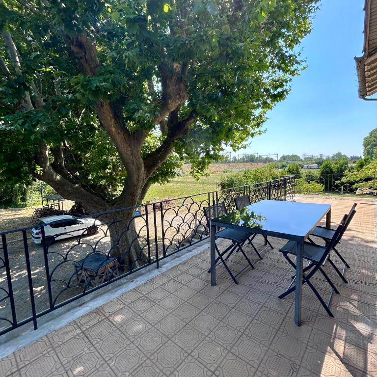 La Ciboulette Entre ville et nature - Apartment mit 1 Schlafzimmer - 1