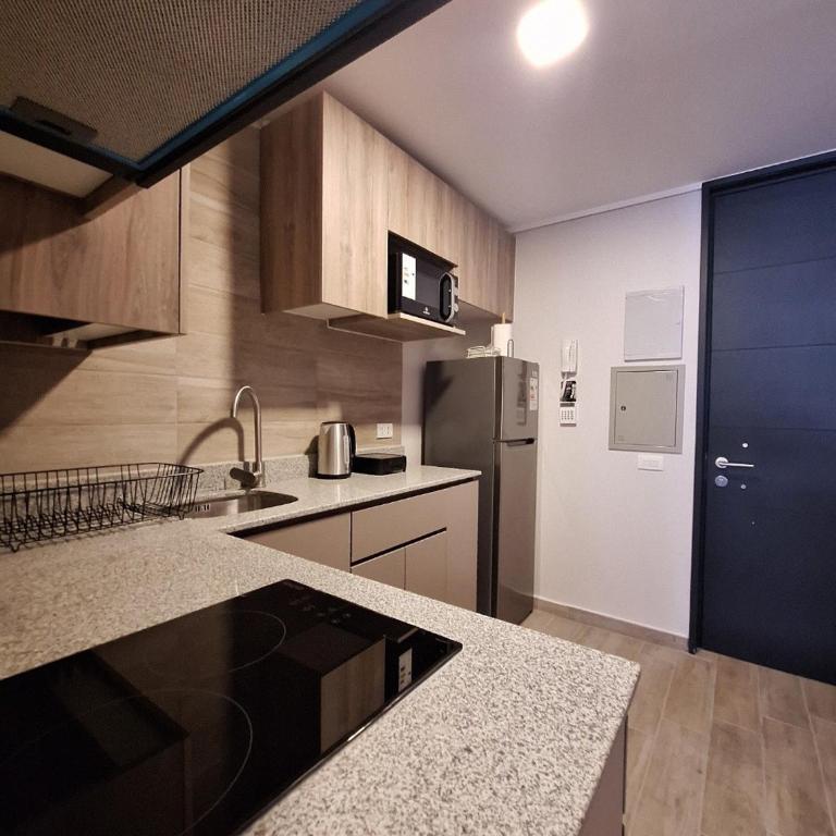 turismo parís Londres Santiago, cercano a metros pleno centro - Apartamento de 1 dormitorio - 24