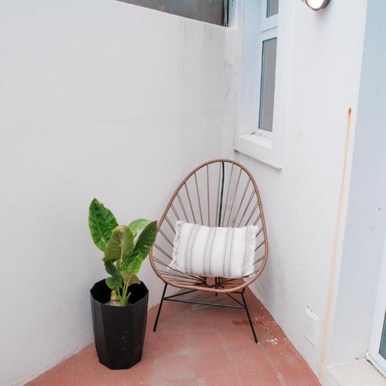 Epoca - Apartamento - Planta baja - 4