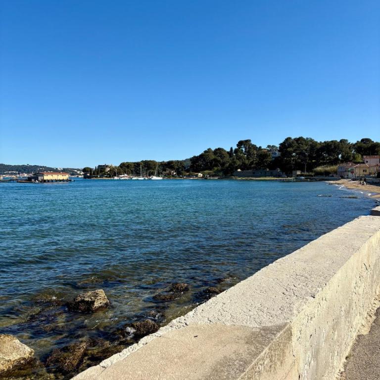 Appartement proche de la plage Balaguier - Appartement 1 Chambre - 5