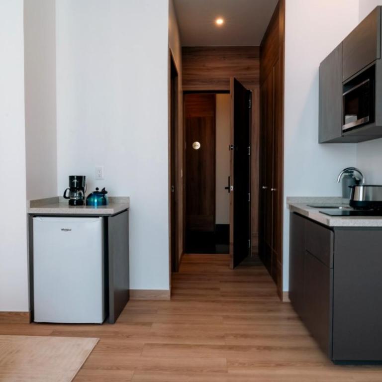 Condesa Residence - Roma Luxury Suite 203 - One-Bedroom Apartment - 96