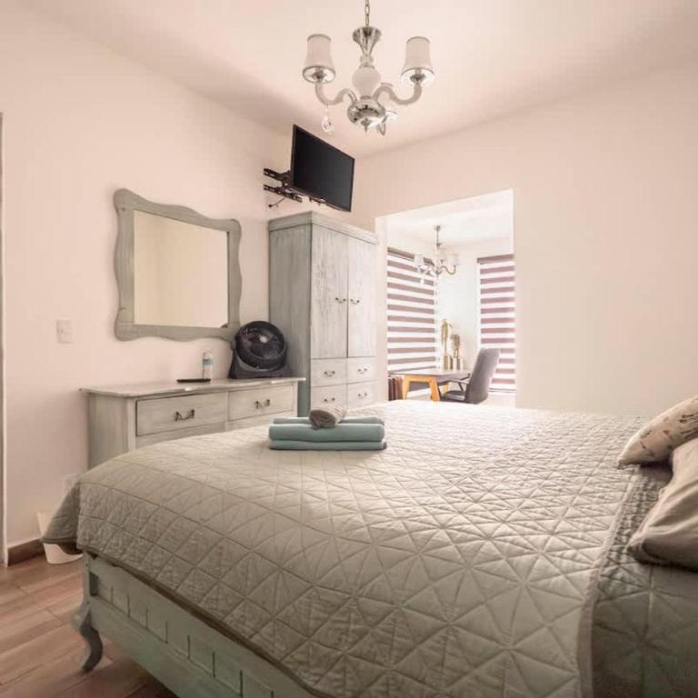 Cozy and centrally located near Polanco - Apartment - 1