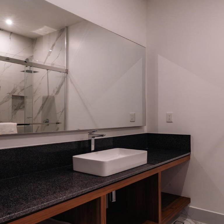 Condesa Residence - Roma Luxury Suite 303 - Appartement 1 Chambre - 44