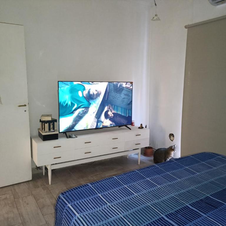 Amplia y cómoda casa en victoria, cerca de tigre - Apartamento de 1 dormitorio - 3