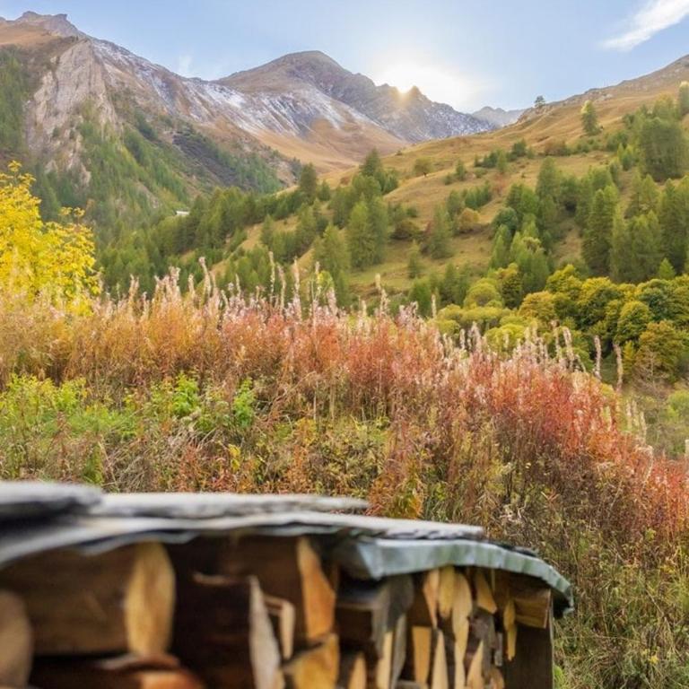 Chalet Louis & Rosalie-luxe-nature-4min pistes- - Chalet - 15