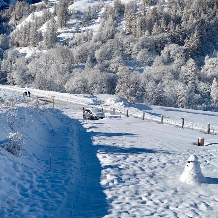 Chalet Louis & Rosalie-luxe-nature-4min pistes- - Chalet - 58