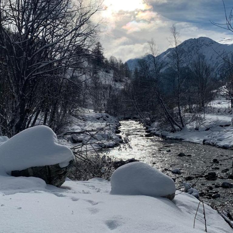 Chalet Louis & Rosalie-luxe-nature-4min pistes- - Chalet - 69