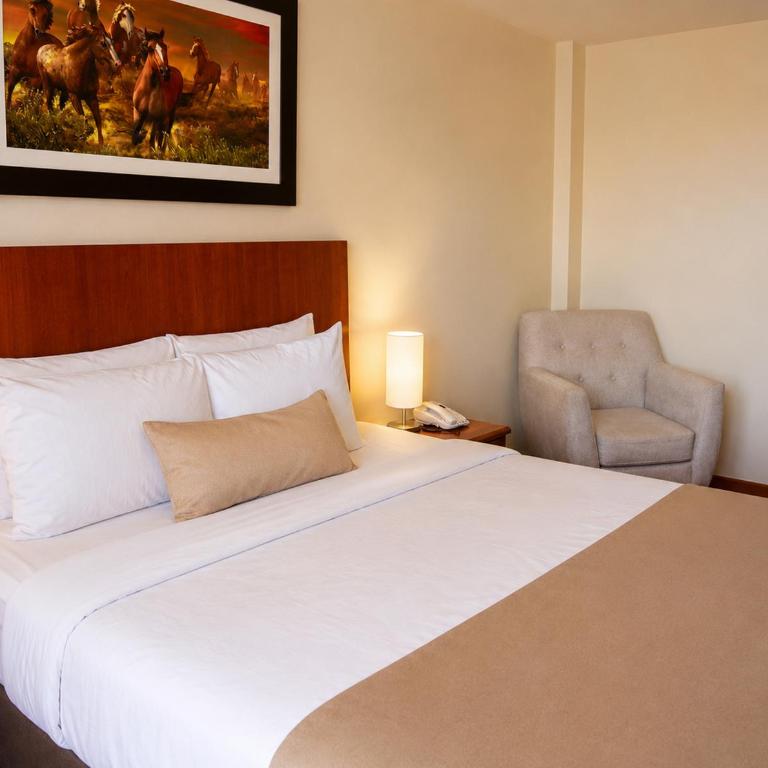 Hotel Santa Rosa - Single Room - 6