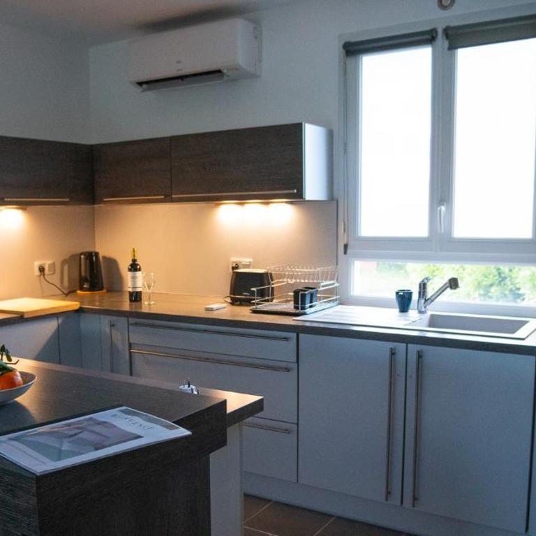 Villa les oliviers, vue montagnes avec jardin - Mercantour - Villa de 3 dormitorios - 8
