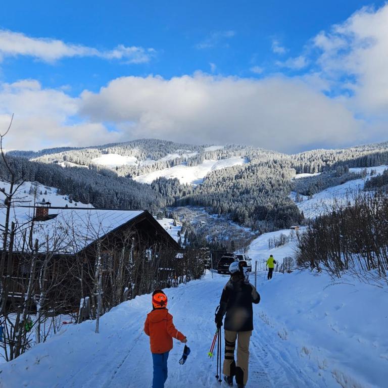 Malejo - HochkönigCard - Pool - Ski-in & Ski-out - Apartment mit 2 Schlafzimmern - 49