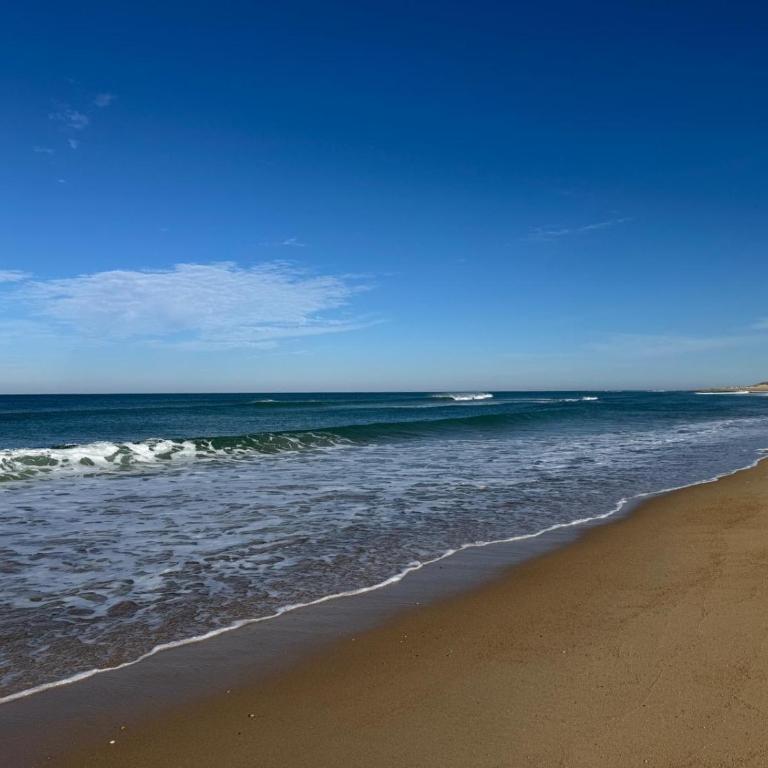 Appartement HOSSEGOR plage SUD Classé 3 étoiles - Apartment mit 2 Schlafzimmern - 52